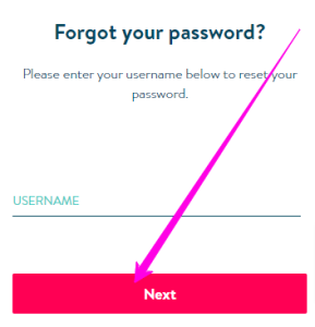 Forgot-Password (3)